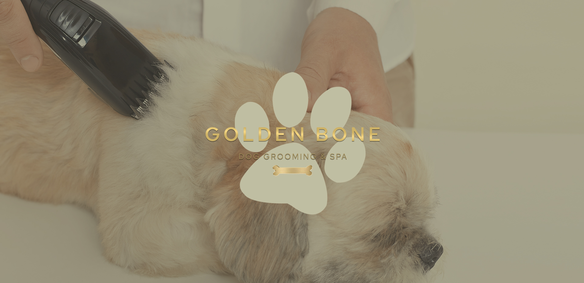 Golden bone